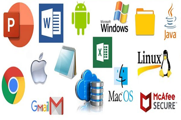 Networking Service